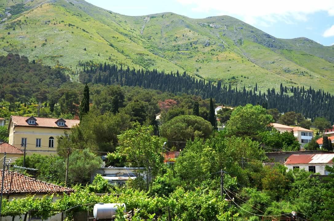 Hotel Shkodra Lake Široka Kültér fotó